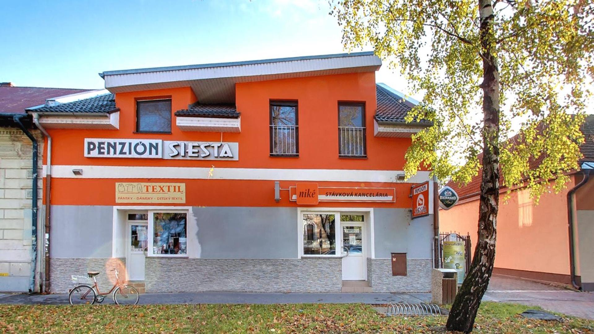 Penzion Siesta Vrable Exterior photo